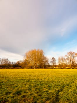 open empty green farming pasture field no people trees cloudy sky space; essex; england; uk