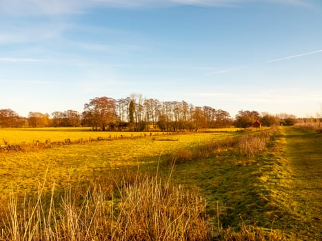 country day landscape field trees grass autumn winter; essex; england; uk
