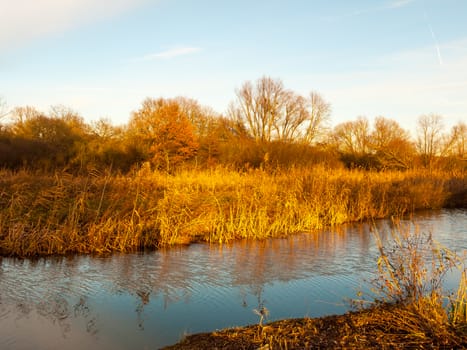 river lake passing water landscape scene shrubs trees space sky; essex; england; uk