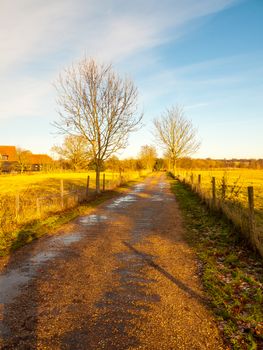 countryside lane field blue sky fields bare trees; essex; england; uk
