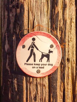 public walking wooden sign post dog sign please keep your dog on a lead; essex; england; uk