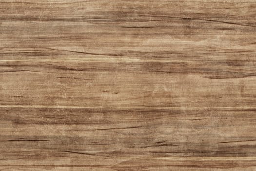 Brown wood texture. Abstract background. Old wood background