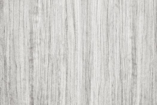 white washed grunge wooden texture to use as background, wood texture with natural pattern