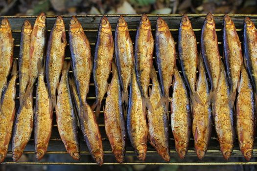 Hot smoked fish whitefish on the grill close to