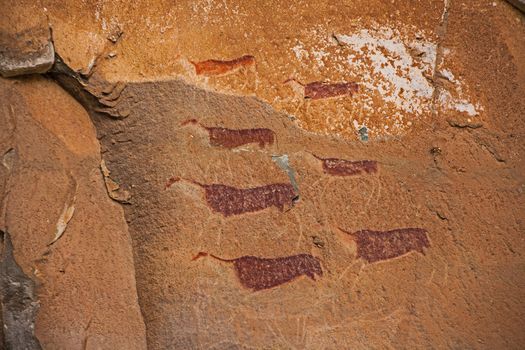 Bushman Rock Art in the "War Cave" near Injisuthi in the Drakensberg South Africa.