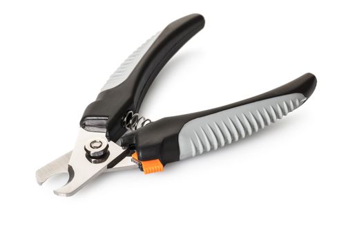 scissors dog's nail clutches clipper tool isolated over white background