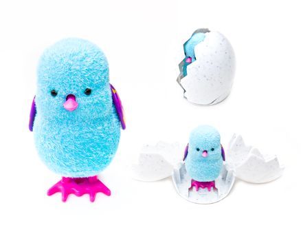 Blue toy Fur Chicken studio quality white background electronic toys wallpapers