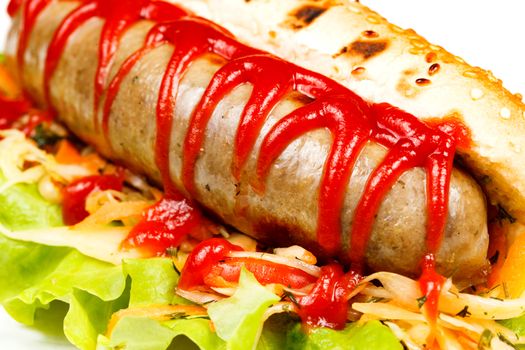 Closeup shot of a hot dog