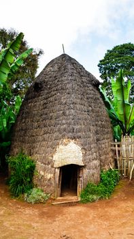 Traditional Dorze tribe house in Chencha , Ethiopia