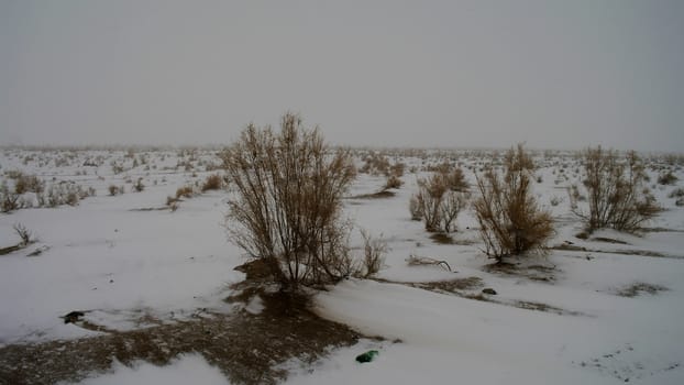 Snow in the Kyzylkum desert in Uzbekistan