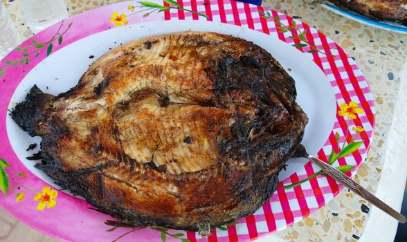 Prepared in fire grilled carp, national fast food of Basra, Iraq