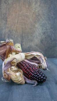 fresh organic purple corn cob with  leaves on a wooden background