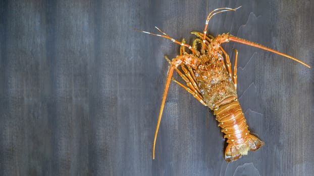 Top view of steamed lobster  on wooden background with copy space