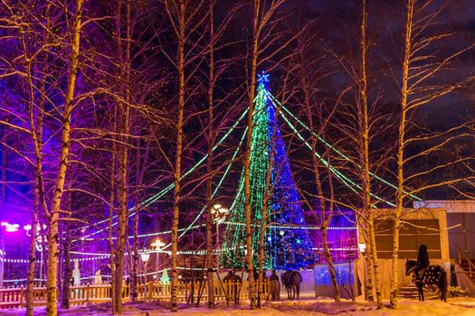 tree walking horse winter Christmas new year