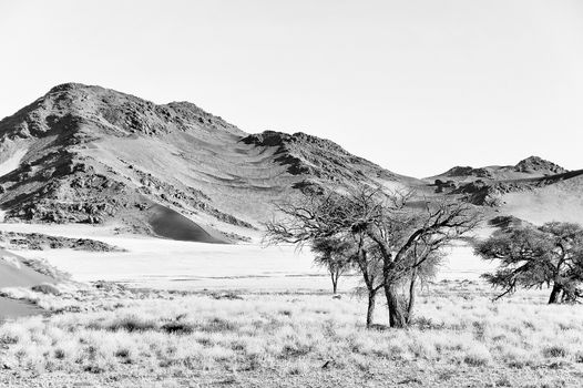 Monochrome grass, dune and mountain landscape near Sossusvlei in Namibia
