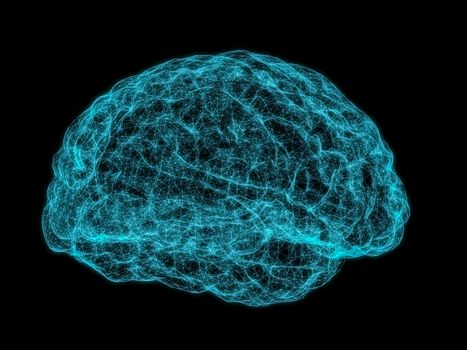 X-ray image of human brain on dark background. 3D Illustration