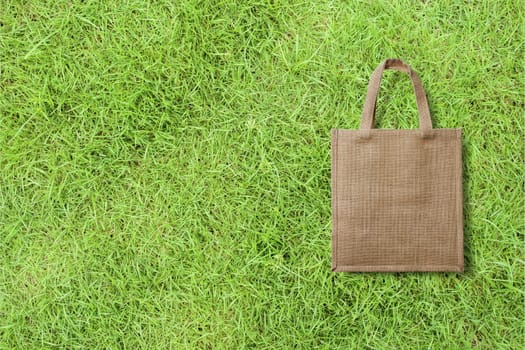 eco bag for shopping on a grass background