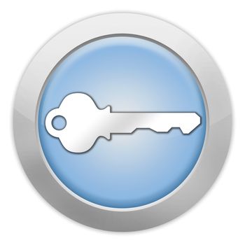 Icon, Button, Pictogram with Key symbol