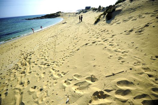 Sea and beach on summer sunny day