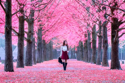Beautiful Girl with Pink Leaves in Nami Island, South Korea.