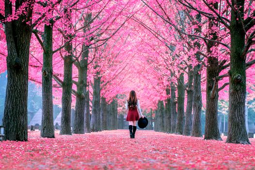 Beautiful Girl with Pink Leaves in Nami Island, South Korea.