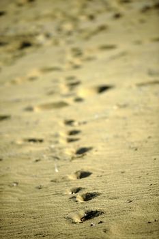 Sand on the beach on summer sunny day