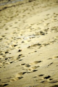 Sand on the beach on summer sunny day