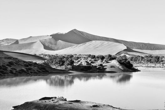 A rare sight: Sossusvlei in the Namib desert of Namibia filled with water. Big Daddy, one of the highest dunes in the world, is in the background. Monochrome