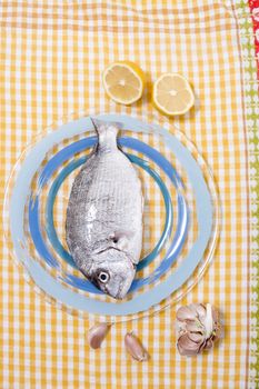 Gilt-head bream fish on a plate.