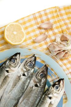 Raw short mackerel fish on a plate.