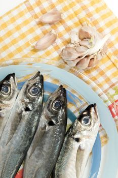 Raw short mackerel fish on a plate.