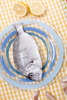 Gilt-head bream fish on a plate.