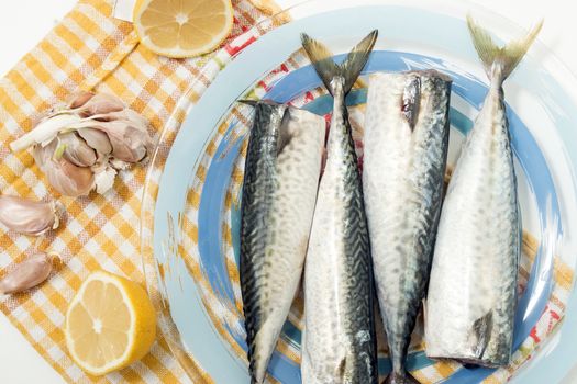 Raw mackerel fish on a plate.