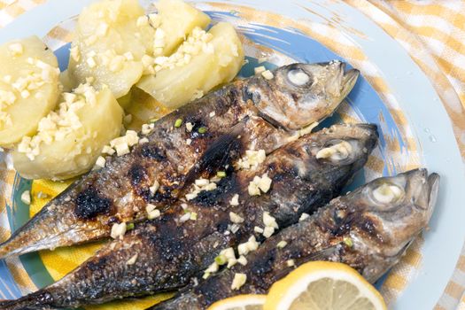 Grilled atlantic horse mackerel meal with potatoes.