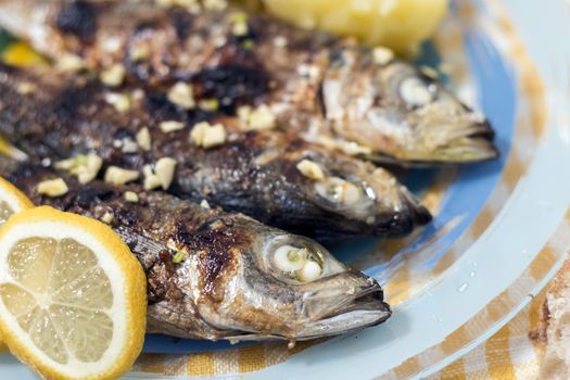Grilled atlantic horse mackerel meal with potatoes.