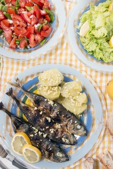 Grilled atlantic horse mackerel meal with salad and potatoes.