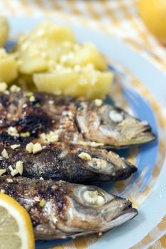 Grilled atlantic horse mackerel meal with potatoes.