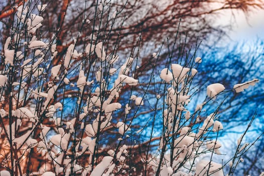 Cold winter snowy landscape at middle of the day