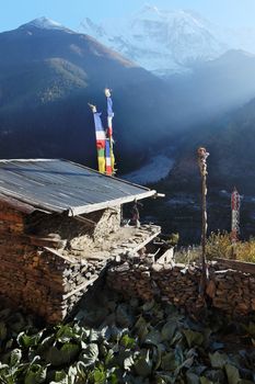 Cabbidge garden and stone house in nepalese himalayas with annapurna mountain