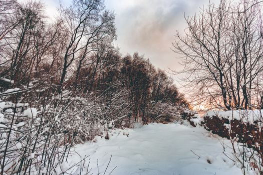 Cold winter snowy landscape at middle of the day