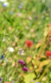 Abstract defocussed background of colourful flowers and foliage in different shades of green