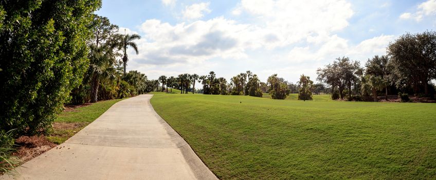 Lush green grass on a golf course with a path for a golf cart, trees and a flag