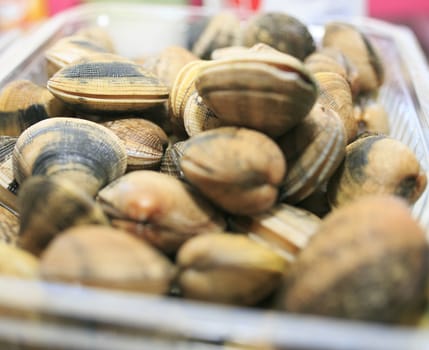 Shellfish ready to be cooked