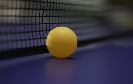 Ping pong table ball