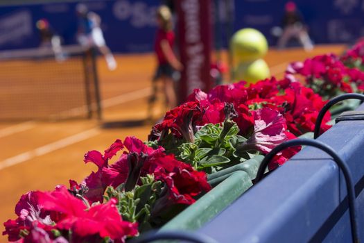 Tennis player in championship