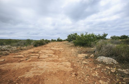 Beach in Formentera ,balearic islands ,Spain
