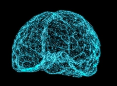 X-ray image of human brain on dark background. 3D Illustration