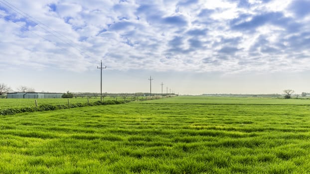 Meadow landscape in spain