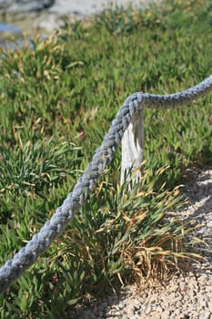 Old rope on the beach