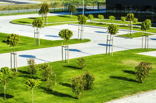 Beautifully maintained decorative plants on display in the garden